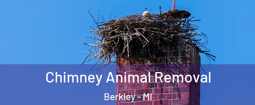  Chimney Animal Removal Berkley - MI