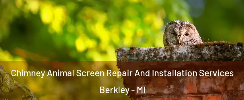  Chimney Animal Screen Repair And Installation Services Berkley - MI