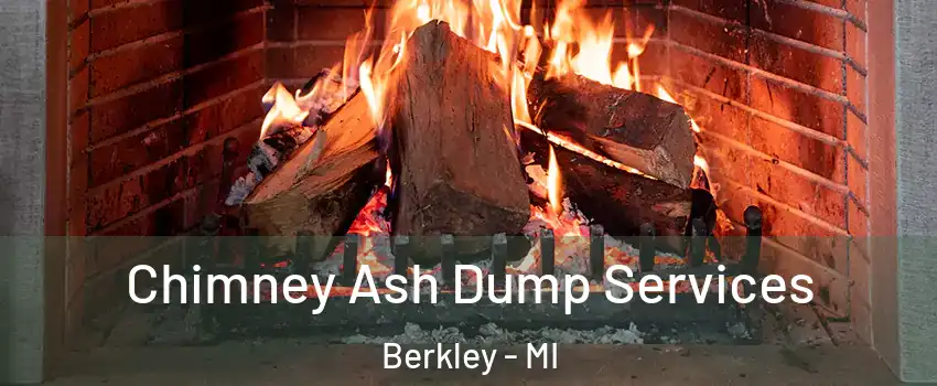 Chimney Ash Dump Services Berkley - MI