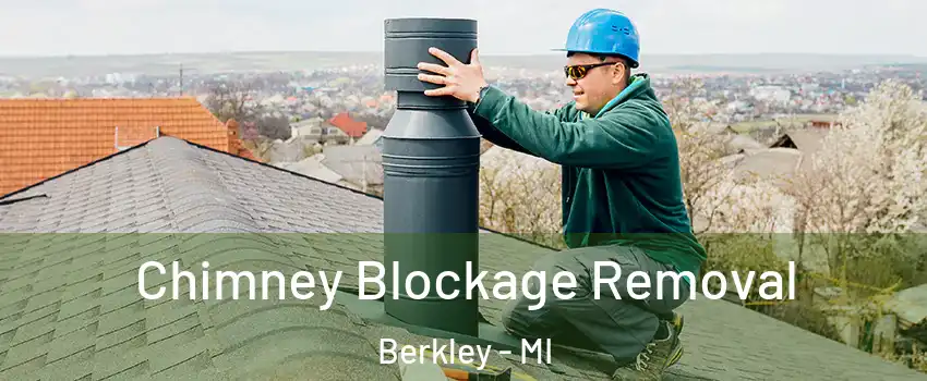  Chimney Blockage Removal Berkley - MI