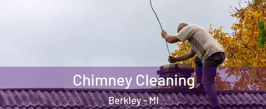  Chimney Cleaning Berkley - MI