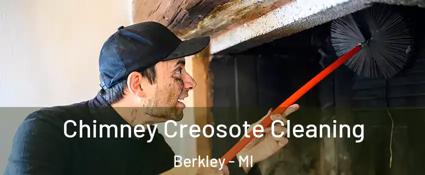  Chimney Creosote Cleaning Berkley - MI