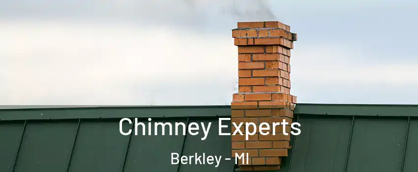  Chimney Experts Berkley - MI