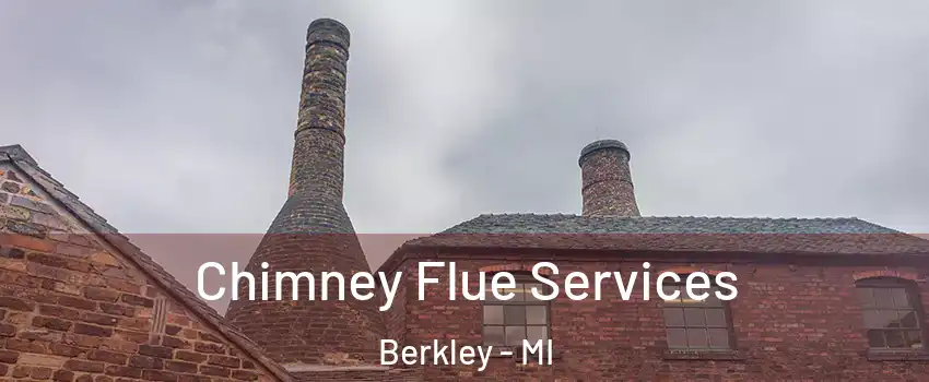 Chimney Flue Services Berkley - MI