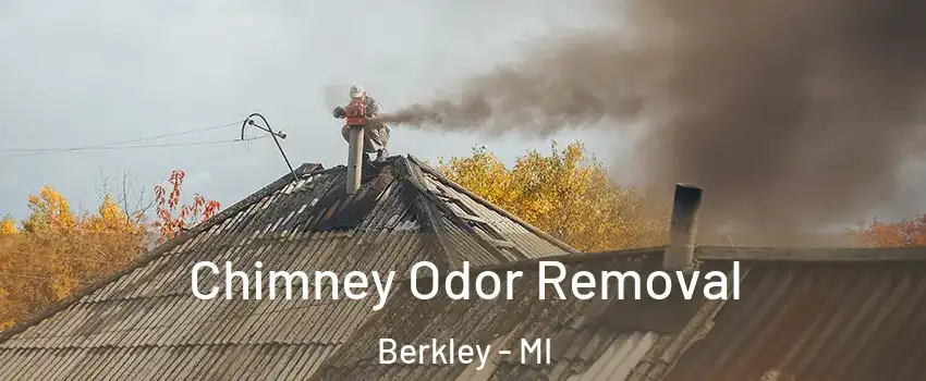  Chimney Odor Removal Berkley - MI