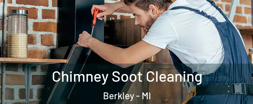 Chimney Soot Cleaning Berkley - MI
