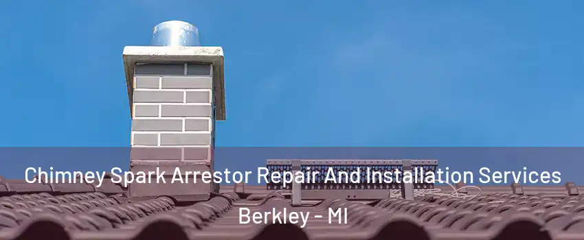  Chimney Spark Arrestor Repair And Installation Services Berkley - MI