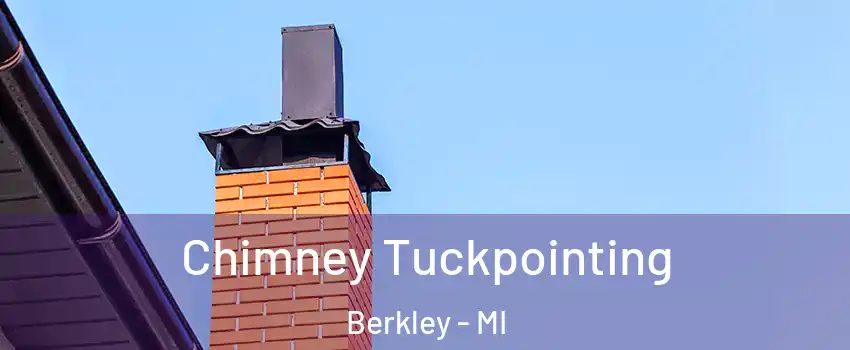  Chimney Tuckpointing Berkley - MI