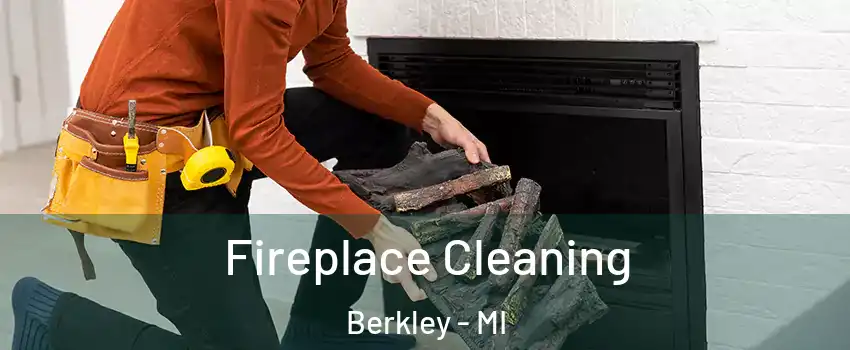  Fireplace Cleaning Berkley - MI
