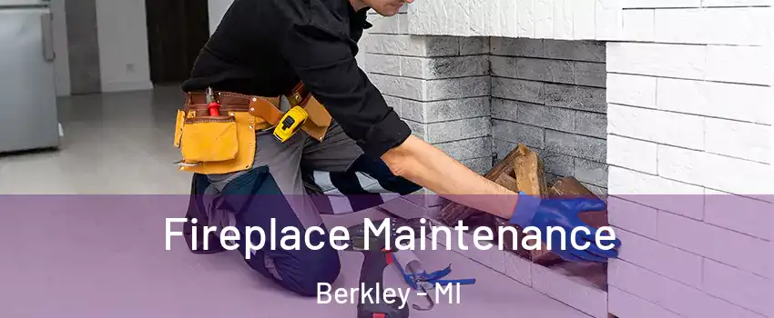  Fireplace Maintenance Berkley - MI