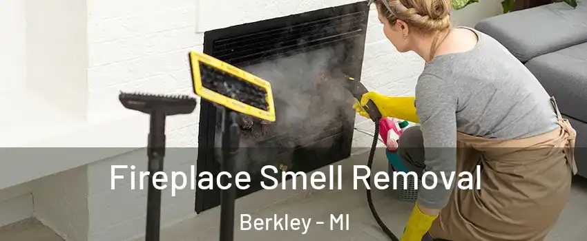  Fireplace Smell Removal Berkley - MI