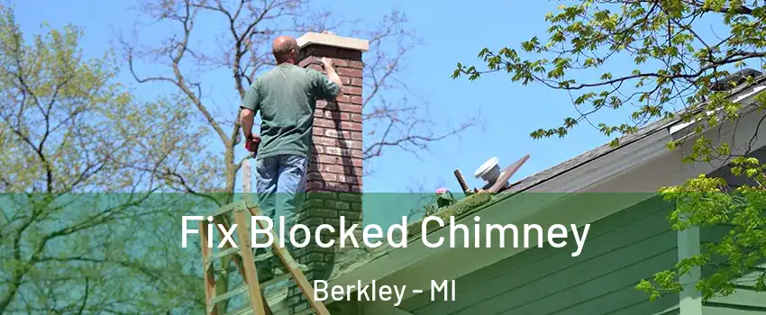 Fix Blocked Chimney Berkley - MI