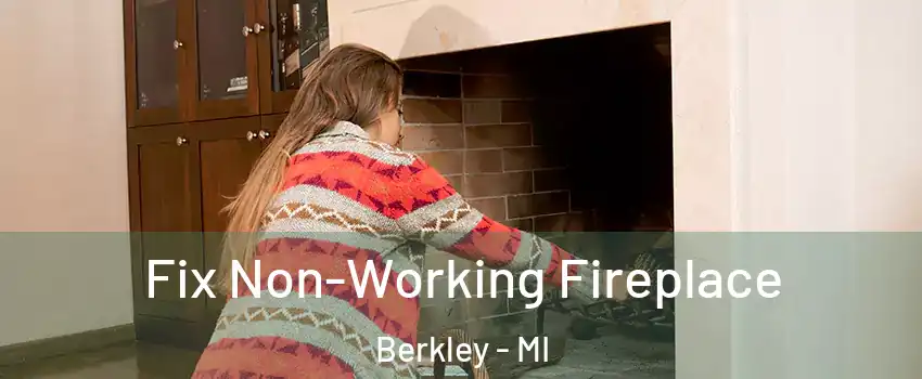  Fix Non-Working Fireplace Berkley - MI