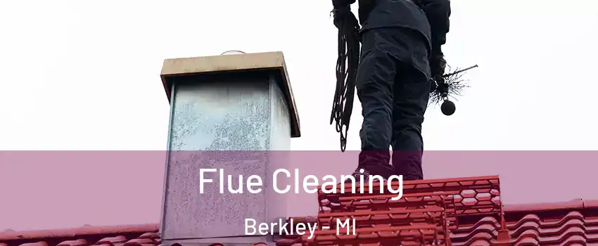  Flue Cleaning Berkley - MI