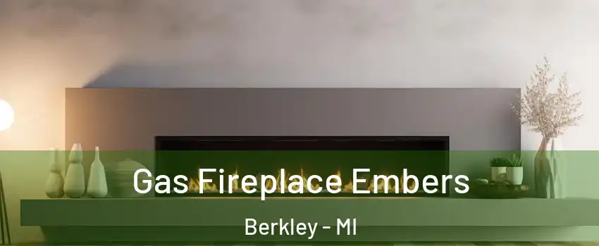  Gas Fireplace Embers Berkley - MI