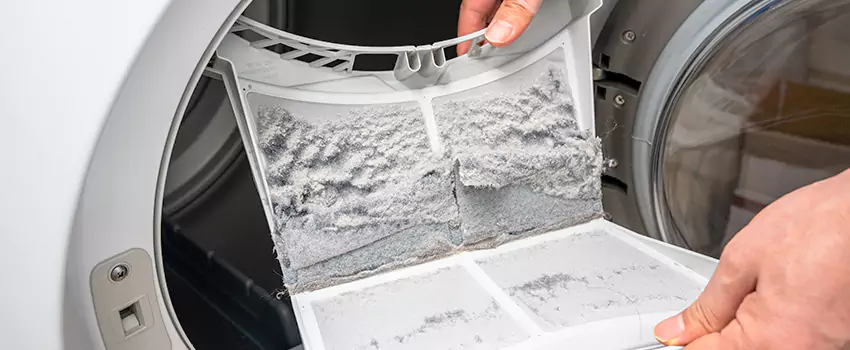 Best Dryer Lint Removal Company in Berkley, Michigan