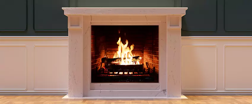 Empire Comfort Systems Fireplace Installation and Replacement in Berkley, Michigan
