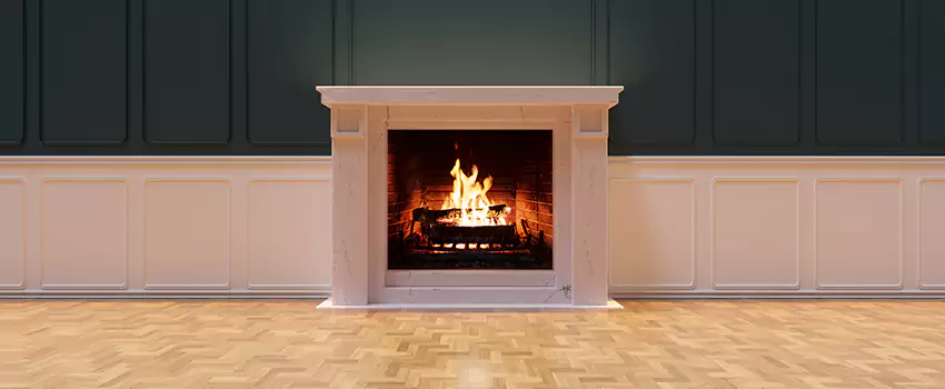 Napoleon Electric Fireplaces Inspection Service in Berkley, Michigan