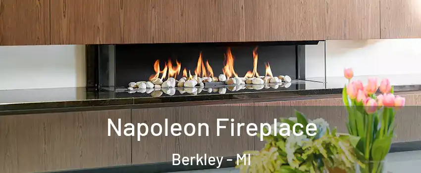  Napoleon Fireplace Berkley - MI