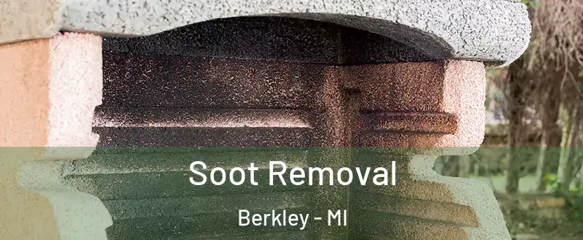  Soot Removal Berkley - MI
