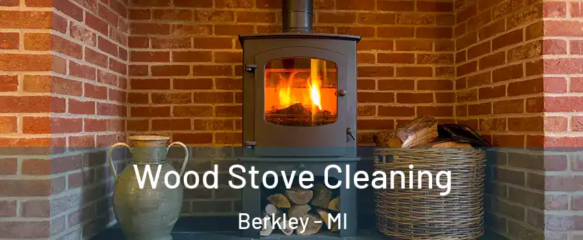  Wood Stove Cleaning Berkley - MI